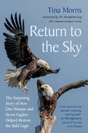 The Return to the Sky cover