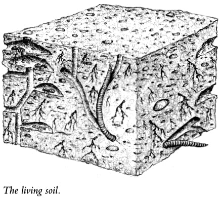 diagram of soil